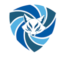 Kitsune Think Secure